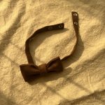 پاپیون یقه (دکمه دار)