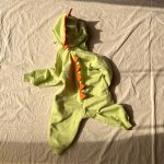 سرهمی دایناسور - Image 15