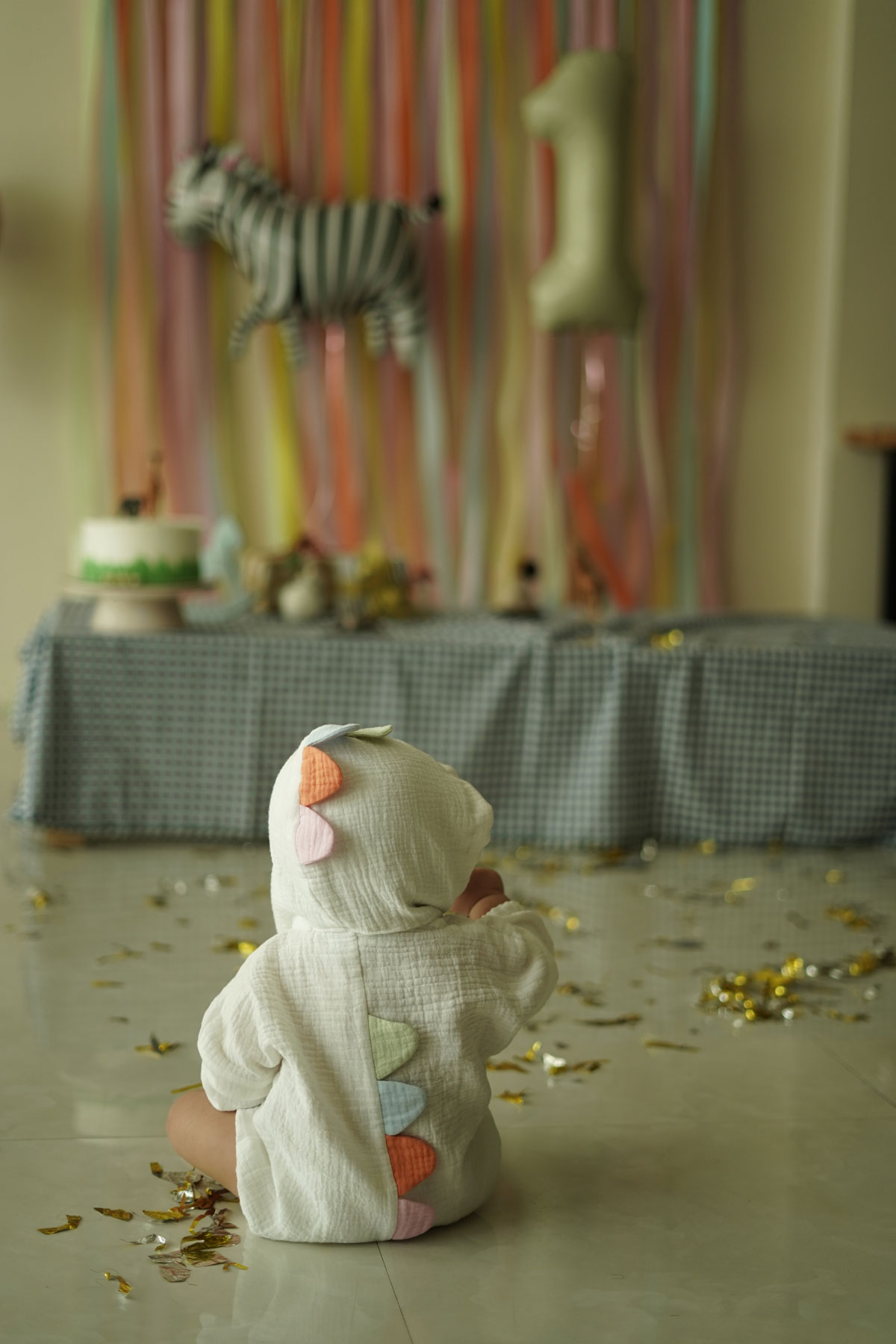 IMG_9805 دایناسور موسلین - Image 2