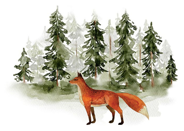 فروشگاه لباس کودک