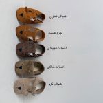 پاپوش خرس - Image 2